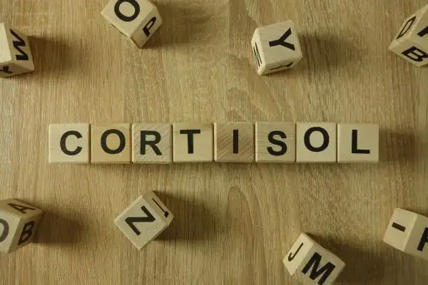 The Hidden Connection: How Stress Shapes Your Fitness and Body Composition 2 Image saying "Cortisol" and how stress Derbyshire impacts your wellbeing and bodies shape